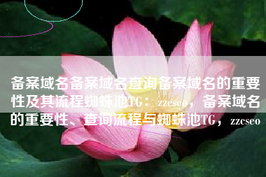 备案域名备案域名查询备案域名的重要性及其流程蜘蛛池TG：zzcseo，备案域名的重要性、查询流程与蜘蛛池TG，zzcseo