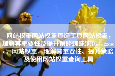 网站权重网站权重查询工具网站权重，理解其重要性及提升策略蜘蛛池TG：zzcseo，网站权重，理解其重要性、提升策略及使用网站权重查询工具