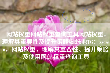 网站权重网站权重查询工具网站权重，理解其重要性及提升策略蜘蛛池TG：zzcseo，网站权重，理解其重要性、提升策略及使用网站权重查询工具