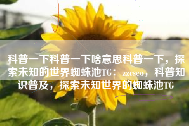科普一下科普一下啥意思科普一下，探索未知的世界蜘蛛池TG：zzcseo，科普知识普及，探索未知世界的蜘蛛池TG