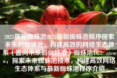 2025最新蜘蛛池2025最新蜘蛛池程序探索未来的蜘蛛池，构建高效的网络生态体系（面向未来的蜘蛛池）蜘蛛池TG：zzcseo，探索未来蜘蛛池技术，构建高效网络生态体系与最新蜘蛛池程序介绍