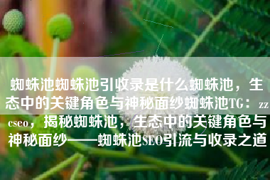 蜘蛛池蜘蛛池引收录是什么蜘蛛池，生态中的关键角色与神秘面纱蜘蛛池TG：zzcseo，揭秘蜘蛛池，生态中的关键角色与神秘面纱——蜘蛛池SEO引流与收录之道