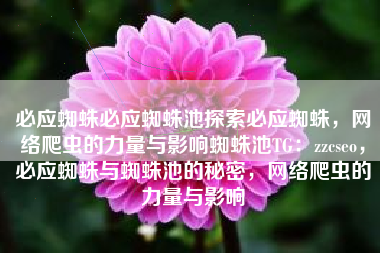 必应蜘蛛必应蜘蛛池探索必应蜘蛛，网络爬虫的力量与影响蜘蛛池TG：zzcseo，必应蜘蛛与蜘蛛池的秘密，网络爬虫的力量与影响