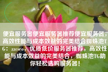 便宜服务器便宜服务器推荐便宜服务器，高效性能与成本效益的完美结合蜘蛛池TG：zzcseo，优质低价服务器推荐，高效性能与成本效益的完美结合，蜘蛛池TG助你轻松选购服务器！