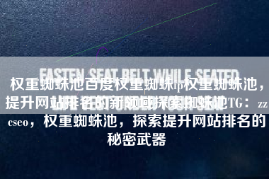 权重蜘蛛池百度权重蜘蛛ip权重蜘蛛池，提升网站排名的新领域探索蜘蛛池TG：zzcseo，权重蜘蛛池，探索提升网站排名的秘密武器