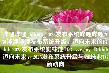 哔哩哔哩_bilibili_2025发布系统哔哩哔哩2050哔哩哔哩发布系统升级，迈向未来的Bilibili 2025发布系统蜘蛛池TG：zzcseo，Bilibili迈向未来，2025发布系统升级与蜘蛛池TG新动向