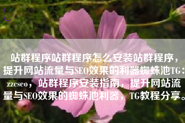 站群程序站群程序怎么安装站群程序，提升网站流量与SEO效果的利器蜘蛛池TG：zzcseo，站群程序安装指南，提升网站流量与SEO效果的蜘蛛池利器，TG教程分享。