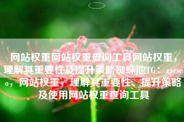网站权重网站权重查询工具网站权重，理解其重要性及提升策略蜘蛛池TG：zzcseo，网站权重，理解其重要性、提升策略及使用网站权重查询工具