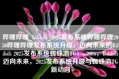 哔哩哔哩_bilibili_2025发布系统哔哩哔哩2050哔哩哔哩发布系统升级，迈向未来的Bilibili 2025发布系统蜘蛛池TG：zzcseo，Bilibili迈向未来，2025发布系统升级与蜘蛛池TG新动向