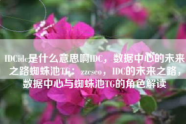 IDCidc是什么意思啊IDC，数据中心的未来之路蜘蛛池TG：zzcseo，IDC的未来之路，数据中心与蜘蛛池TG的角色解读