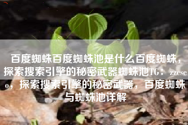 百度蜘蛛百度蜘蛛池是什么百度蜘蛛，探索搜索引擎的秘密武器蜘蛛池TG：zzcseo，探索搜索引擎的秘密武器，百度蜘蛛与蜘蛛池详解