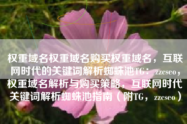 权重域名权重域名购买权重域名，互联网时代的关键词解析蜘蛛池TG：zzcseo，权重域名解析与购买策略，互联网时代关键词解析蜘蛛池指南（附TG，zzcseo）