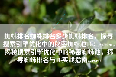 蜘蛛排名蜘蛛排名多少蜘蛛排名，探寻搜索引擎优化中的秘密蜘蛛池TG：zzcseo，揭秘搜索引擎优化中的秘密蜘蛛池，探寻蜘蛛排名与TG实战指南zzcseo