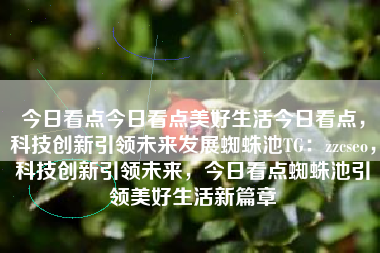 今日看点今日看点美好生活今日看点，科技创新引领未来发展蜘蛛池TG：zzcseo，科技创新引领未来，今日看点蜘蛛池引领美好生活新篇章