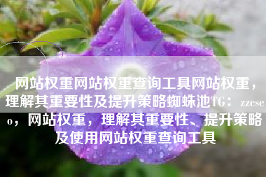 网站权重网站权重查询工具网站权重，理解其重要性及提升策略蜘蛛池TG：zzcseo，网站权重，理解其重要性、提升策略及使用网站权重查询工具