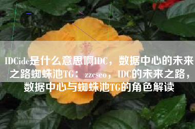 IDCidc是什么意思啊IDC，数据中心的未来之路蜘蛛池TG：zzcseo，IDC的未来之路，数据中心与蜘蛛池TG的角色解读