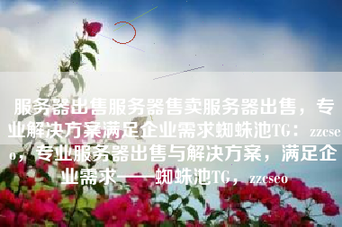 服务器出售服务器售卖服务器出售，专业解决方案满足企业需求蜘蛛池TG：zzcseo，专业服务器出售与解决方案，满足企业需求——蜘蛛池TG，zzcseo
