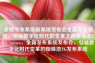 全新发布系统新系统发布会全新发布系统，引领数字化时代的变革之道蜘蛛池TG：zzcseo，全新发布系统发布会，引领数字化时代变革的蜘蛛池TG发布系统