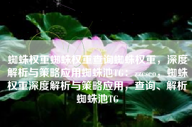 蜘蛛权重蜘蛛权重查询蜘蛛权重，深度解析与策略应用蜘蛛池TG：zzcseo，蜘蛛权重深度解析与策略应用，查询、解析蜘蛛池TG