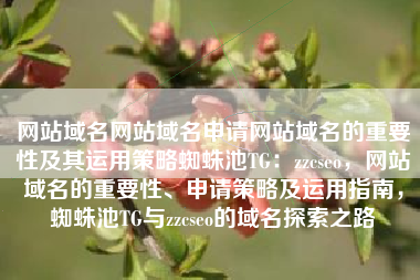 网站域名网站域名申请网站域名的重要性及其运用策略蜘蛛池TG：zzcseo，网站域名的重要性、申请策略及运用指南，蜘蛛池TG与zzcseo的域名探索之路