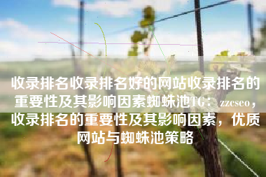 收录排名收录排名好的网站收录排名的重要性及其影响因素蜘蛛池TG：zzcseo，收录排名的重要性及其影响因素，优质网站与蜘蛛池策略