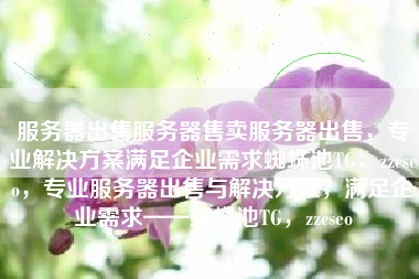 服务器出售服务器售卖服务器出售，专业解决方案满足企业需求蜘蛛池TG：zzcseo，专业服务器出售与解决方案，满足企业需求——蜘蛛池TG，zzcseo
