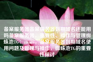 备案服务器备案服务器到期域名还能用吗备案服务器，重要性、操作与管理蜘蛛池TG：zzcseo，备案服务器到期域名使用问题及管理与操作，蜘蛛池TG的重要性探讨