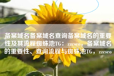 备案域名备案域名查询备案域名的重要性及其流程蜘蛛池TG：zzcseo，备案域名的重要性、查询流程与蜘蛛池TG，zzcseo