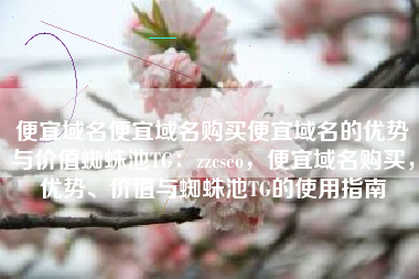 便宜域名便宜域名购买便宜域名的优势与价值蜘蛛池TG：zzcseo，便宜域名购买，优势、价值与蜘蛛池TG的使用指南