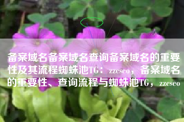 备案域名备案域名查询备案域名的重要性及其流程蜘蛛池TG：zzcseo，备案域名的重要性、查询流程与蜘蛛池TG，zzcseo