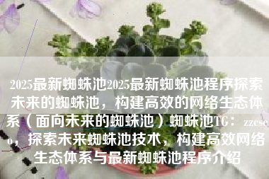 2025最新蜘蛛池2025最新蜘蛛池程序探索未来的蜘蛛池，构建高效的网络生态体系（面向未来的蜘蛛池）蜘蛛池TG：zzcseo，探索未来蜘蛛池技术，构建高效网络生态体系与最新蜘蛛池程序介绍