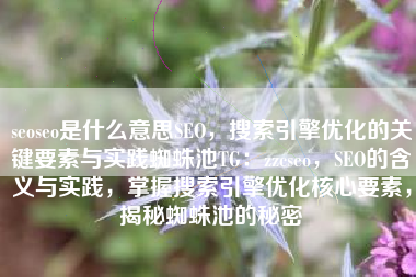 seoseo是什么意思SEO，搜索引擎优化的关键要素与实践蜘蛛池TG：zzcseo，SEO的含义与实践，掌握搜索引擎优化核心要素，揭秘蜘蛛池的秘密