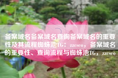 备案域名备案域名查询备案域名的重要性及其流程蜘蛛池TG：zzcseo，备案域名的重要性、查询流程与蜘蛛池TG，zzcseo