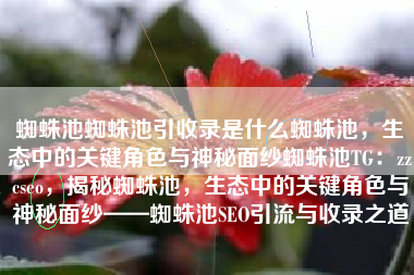 蜘蛛池蜘蛛池引收录是什么蜘蛛池，生态中的关键角色与神秘面纱蜘蛛池TG：zzcseo，揭秘蜘蛛池，生态中的关键角色与神秘面纱——蜘蛛池SEO引流与收录之道