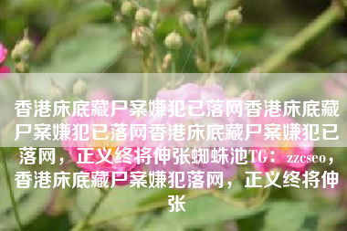 香港床底藏尸案嫌犯已落网香港床底藏尸案嫌犯已落网香港床底藏尸案嫌犯已落网，正义终将伸张蜘蛛池TG：zzcseo，香港床底藏尸案嫌犯落网，正义终将伸张