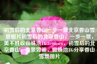 初雪后的北京香山一步一景北京香山雪景图片初雪后的北京香山，一步一景，美不胜收蜘蛛池TG：zzcseo，初雪后的北京香山，美景如画，蜘蛛池TG分享香山雪景图片