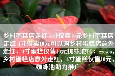 乡村蛋糕店走红 4寸仅卖10元乡村蛋糕店走红 4寸仅卖10元可以吗乡村蛋糕店意外走红，4寸蛋糕仅售10元蜘蛛池TG：zzcseo，乡村蛋糕店意外走红，4寸蛋糕仅售10元，蜘蛛池助力推广