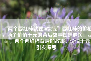 “两个西红柿就要10块钱”西红柿的价格，两个价值十元的背后故事蜘蛛池TG：zzcseo，两个西红柿背后的故事，价值十元引发深思