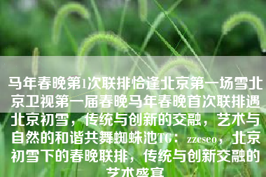 马年春晚第1次联排恰逢北京第一场雪北京卫视第一届春晚马年春晚首次联排遇北京初雪，传统与创新的交融，艺术与自然的和谐共舞蜘蛛池TG：zzcseo，北京初雪下的春晚联排，传统与创新交融的艺术盛宴
