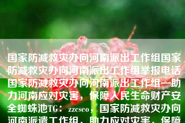 国家防减救灾办向河南派出工作组国家防减救灾办向河南派出工作组举报电话国家防减救灾办向河南派出工作组—助力河南应对灾害，保障人民生命财产安全蜘蛛池TG：zzcseo，国家防减救灾办向河南派遣工作组，助力应对灾害，保障民生安全