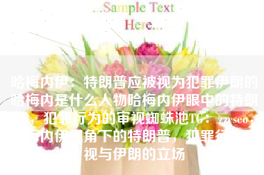 哈梅内伊：特朗普应被视为犯罪伊朗的哈梅内是什么人物哈梅内伊眼中的特朗普，犯罪行为的审视蜘蛛池TG：zzcseo，哈梅内伊视角下的特朗普，犯罪行为审视与伊朗的立场