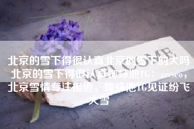 北京的雪下得很认真北京的雪下的大吗北京的雪下得很认真蜘蛛池TG：zzcseo，北京雪情专注报道，蜘蛛池TG见证纷飞大雪