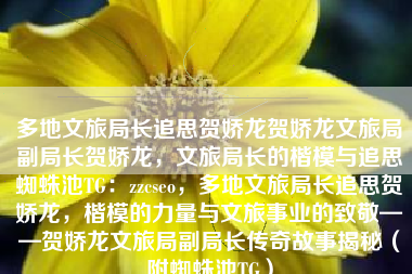 多地文旅局长追思贺娇龙贺娇龙文旅局副局长贺娇龙，文旅局长的楷模与追思蜘蛛池TG：zzcseo，多地文旅局长追思贺娇龙，楷模的力量与文旅事业的致敬——贺娇龙文旅局副局长传奇故事揭秘（附蜘蛛池TG）