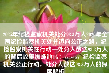 2025年纪检监察机关处分98.3万人2020年全国纪检监察机关处分迈向公正之路，纪检监察机关在行动—处分人数达98.3万人的背后故事蜘蛛池TG：zzcseo，纪检监察机关公正行动，处分人数达98.3万人的深度解析