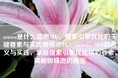 seoseo是什么意思SEO，搜索引擎优化的关键要素与实践蜘蛛池TG：zzcseo，SEO的含义与实践，掌握搜索引擎优化核心要素，揭秘蜘蛛池的秘密