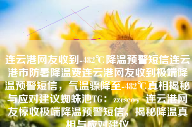 连云港网友收到-482℃降温预警短信连云港市防暑降温费连云港网友收到极端降温预警短信，气温骤降至-482℃真相揭秘与应对建议蜘蛛池TG：zzcseo，连云港网友惊收极端降温预警短信，揭秘降温真相与应对建议