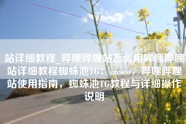 站详细教程_哔哩哔哩站怎么用哔哩哔哩站详细教程蜘蛛池TG：zzcseo，哔哩哔哩站使用指南，蜘蛛池TG教程与详细操作说明