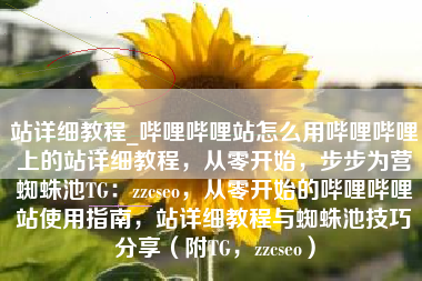 站详细教程_哔哩哔哩站怎么用哔哩哔哩上的站详细教程，从零开始，步步为营蜘蛛池TG：zzcseo，从零开始的哔哩哔哩站使用指南，站详细教程与蜘蛛池技巧分享（附TG，zzcseo）