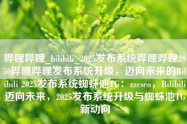 哔哩哔哩_bilibili_2025发布系统哔哩哔哩2050哔哩哔哩发布系统升级，迈向未来的Bilibili 2025发布系统蜘蛛池TG：zzcseo，Bilibili迈向未来，2025发布系统升级与蜘蛛池TG新动向
