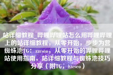 站详细教程_哔哩哔哩站怎么用哔哩哔哩上的站详细教程，从零开始，步步为营蜘蛛池TG：zzcseo，从零开始的哔哩哔哩站使用指南，站详细教程与蜘蛛池技巧分享（附TG，zzcseo）